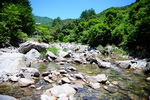 용추계곡(용추폭포) 계곡상류에서하류전경1