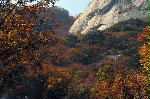 명지산 풍경2