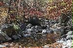 명지산 가을단풍